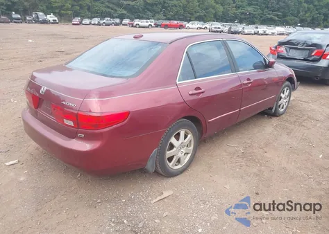 2005 Honda Accord 3.0 Ex z USA, uszkodzony, nr VIN 1HGCM668X5A077639